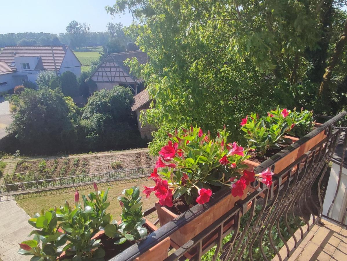 Appartement Des Rives De L'Ehn Krautergersheim Bagian luar foto