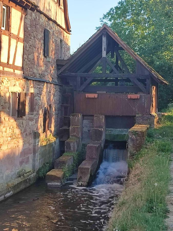 Appartement Des Rives De L'Ehn Krautergersheim Bagian luar foto